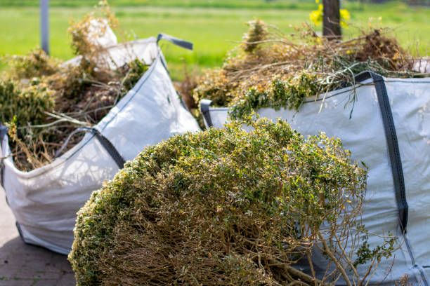 Best Household Junk Removal  in West Milton, PA